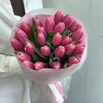 31 ярко розовый тюльпан